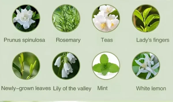 Automatic Diffuser Aromatherapy Car Perfume with Display Essential Oil Humidifier Bathroom Deodorization Air Freshener Jasmine - Image 26