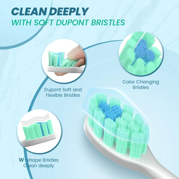 Sejoy Sonic Electric Toothbrush For Adults Tooth Deep Clean 10 Brush Heads Travel Case Built in Smart Timer Sonic Toothbrush - Image 4