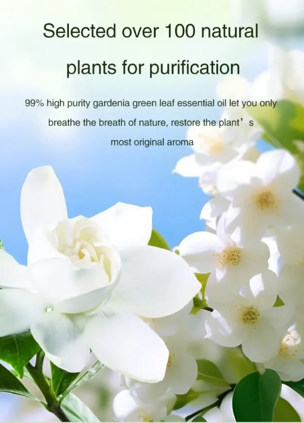 50ML Automatic Home Fragrance Machine Essential Oil Diffuser Nebulizer Perfume Scent Machine for Kitchen and toilet deodorizatio - Image 25