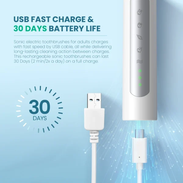 Sejoy Sonic Electric Toothbrush For Adults Tooth Deep Clean 10 Brush Heads Travel Case Built in Smart Timer Sonic Toothbrush - Image 5